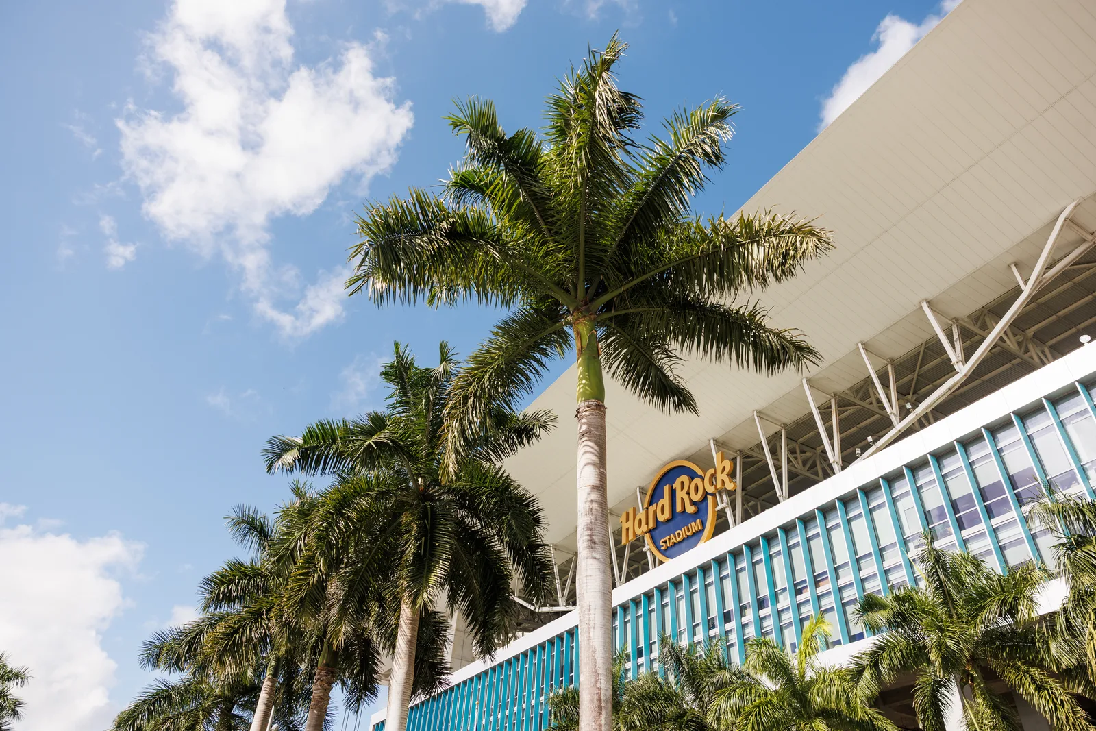 Palm trees in front of the Hard Rock Stadium signage at the Miami International Autodrome