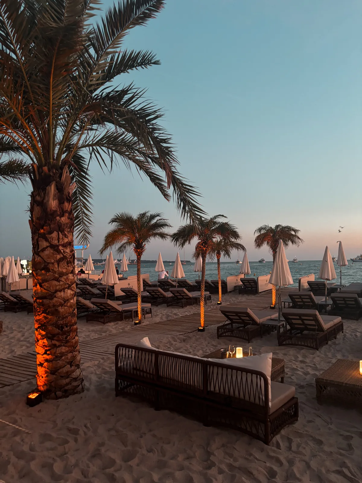 The Carlton Cannes beach club at dusk, with uplit palms and the Mediterranean beyond